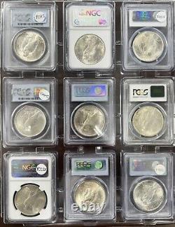 1921-1935 Complete Set Peace Dollars Graded NGC PCGS CAC MS64-MS65 Very Rare Set