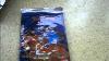 Chinese Base Set Booster Pack Opening 14 Packs Very Rare