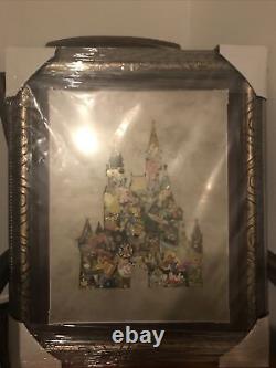 Disney Parks Cinderella Castle Framed Pin Set Collage Very Rare Discontinued