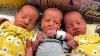 Rare Set Of Identical Triplets Born It S So Rare There Are Hardly Any Case Studies On It