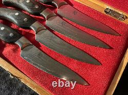 Set Of 4 Shun Ken Onion DM-0511 Steak Knifes 4-1/2 Blade Very Rare With Case