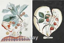 Set of x15 VERY RARE Salvador Dali FruitDalí Series/Botanical Art
