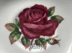 Very Rare Paragon tea cup and saucer set Red Rose