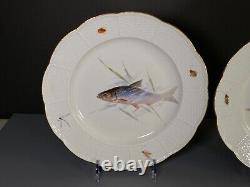 Very rare Meissen (1860-1924)hand-painted fish plates, Set 12, 10.5'' 1st choice