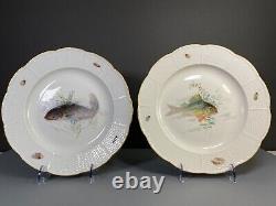 Very rare Meissen (1860-1924)hand-painted fish plates, Set 12, 10.5'' 1st choice