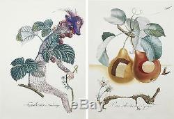 Ensemble De X15 Tres Rare Salvador Dali Fruitdalí Série / Art Botanique