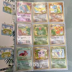 Pokemon Southern Islands Collection Ensemble De Fichiers Rainbow Tropical Promo