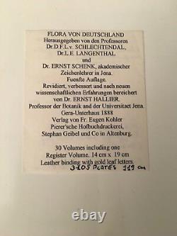 Très Rare Allemand Flora Von Deutschland 31 Livre Complet 1888 Set! Schlechtendal